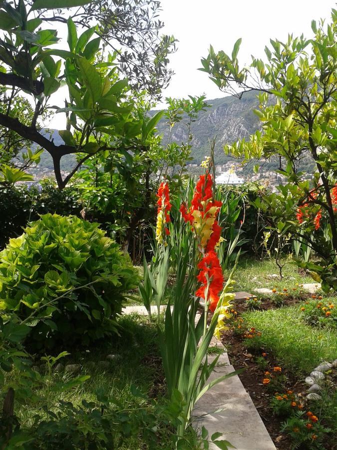 Kotor Kelly Apartments 외부 사진