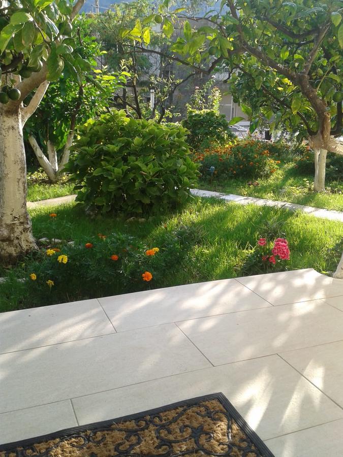 Kotor Kelly Apartments 외부 사진